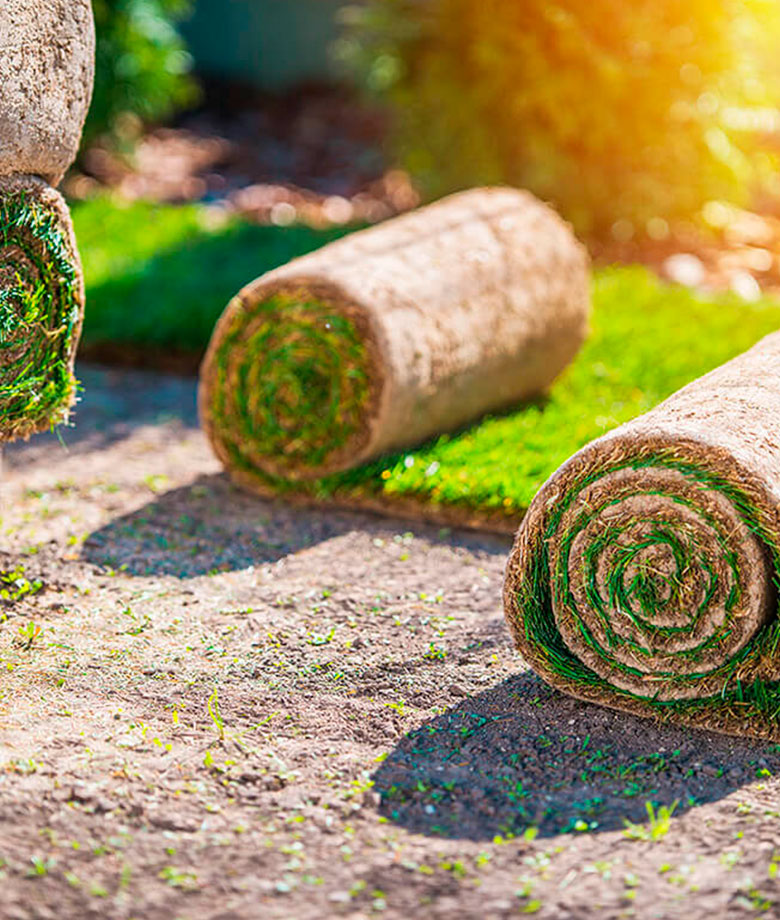 cesped-natural-en-tepes